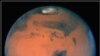 Hardy Earth Microbes May Resist Conditions on Mars
