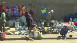 Le Nigeria accueille le Forum des gouverneurs du bassin du lac Tchad