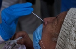 ARCHIVO - Una trabajadora de salud toma una muestra de hisopado nasal de Rebeca Jiménez, de 75 años, para realizar una prueba de COVID-19, en su casa en la Ciudad de México, el miércoles 17 de junio de 2020. (Foto AP / Marco Ugarte)
