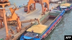 Sebuah tongkang sedang memuat gandum impor di pelabuhan di Nantong, provinsi Jiangsu, China timur, 16 Februari 2025. (Foto AFP)