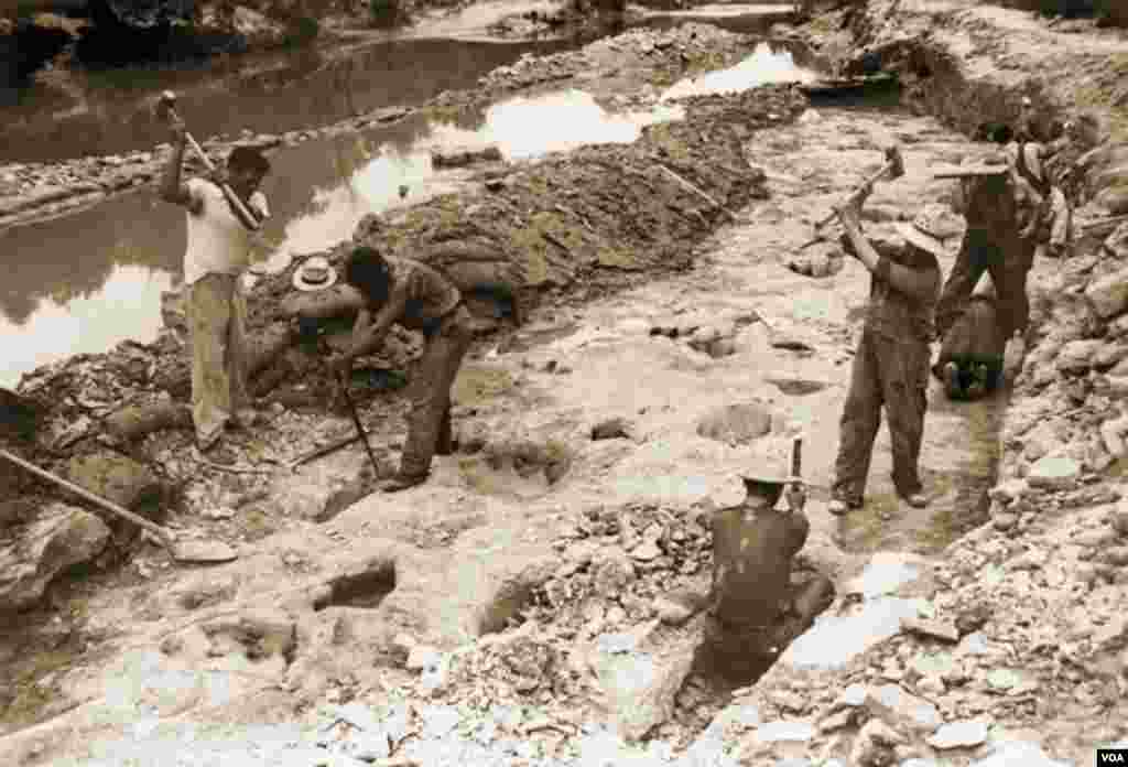 Workers in the trenches on Roland T. Bird’s massive excavation in 1940. (R.T. Bird from the Collections of the Vertebrate Paleontology Laboratory, The University of Texas at Austin)