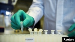 FILE - An employee of German biopharmaceutical company CureVac demonstrates research workflow on a vaccine for the coronavirus (COVID-19) disease at a laboratory in Tuebingen, Germany, March 12, 2020.