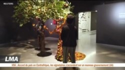L’art du Cap attire les collectionneurs