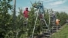 Rural America Braces for Labor Shortages After Immigration Crackdown