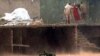 Banjir Tewaskan 90 Orang di Pakistan Barat Laut