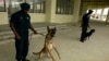 Des policiers gardent le stade Chaize avant le début du match entre le Malawi et le Mali lors de la Coupe d'Afrique des Nations à Cabinda, le 18 janvier 2010.