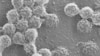 16x9 Image