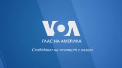 Прв снег за пандите близначки во Јужна Кореја