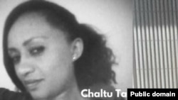 ጫልቱ ታከለ