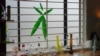 New Mexico Governor Signs Bill to Legalize Recreational Marijuana