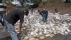 Estados Unidos brindará apoyo a lucha antidrogas en Panamá