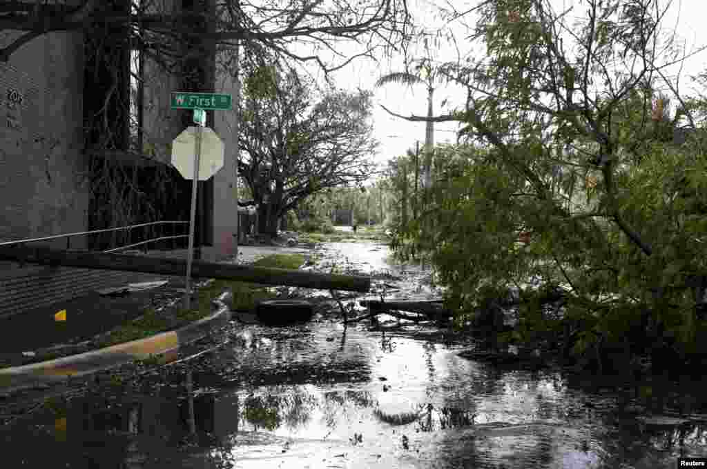 Los árboles caídos e inundaciones después de que el huracán Ian causara una destrucción generalizada en Fort Myers, Florida, el 29 de septiembre de 2022. REUTERS/Marco Bello