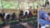 La Banque mondiale soutient le Malawi face aux défis du changement climatique