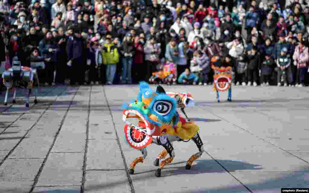 Spectators watch as robot dogs draped in lion costumes perform on the Lantern Festival, which marks the end of the Lunar New Year celebrations, in Jinan, Shandong province, China. cnsphoto/via REUTERS ATTENTION EDITORS - THIS IMAGE WAS PROVIDED BY A THIRD PARTY. CHINA OUT