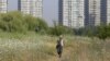 Wild Nature Claims Place in Romanian Capital