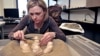 Dinosaurs May Have Sat on Eggs Like Chickens