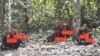 Facial Recognition Now Used to Identify and Follow Animals