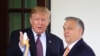 US Election Results Dismay Trump's Populist Allies in Europe