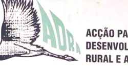 ADRA prepara monitores das eleições angolanas – 1:27