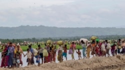 အာရီဇိုးနားပြည်နယ်က မြန်မာတွေ NLD အစိုးရကို ထောက်ခံဆန္ဒပြ