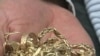 2011 Gold Rush Is On