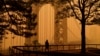 Gardens Can Suffer From Smoky Air, Too