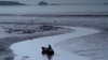 US Fishermen Face Shutdowns as Warming Hurts Species