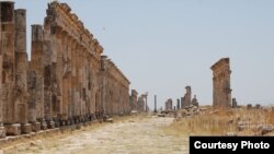 Mile-long remnants of Syria's colonnade of Roman city of Apamea, photographed before war began. The site was reportedly shelled and occupied recently by Syrian government tanks. (Christian Sahner) 