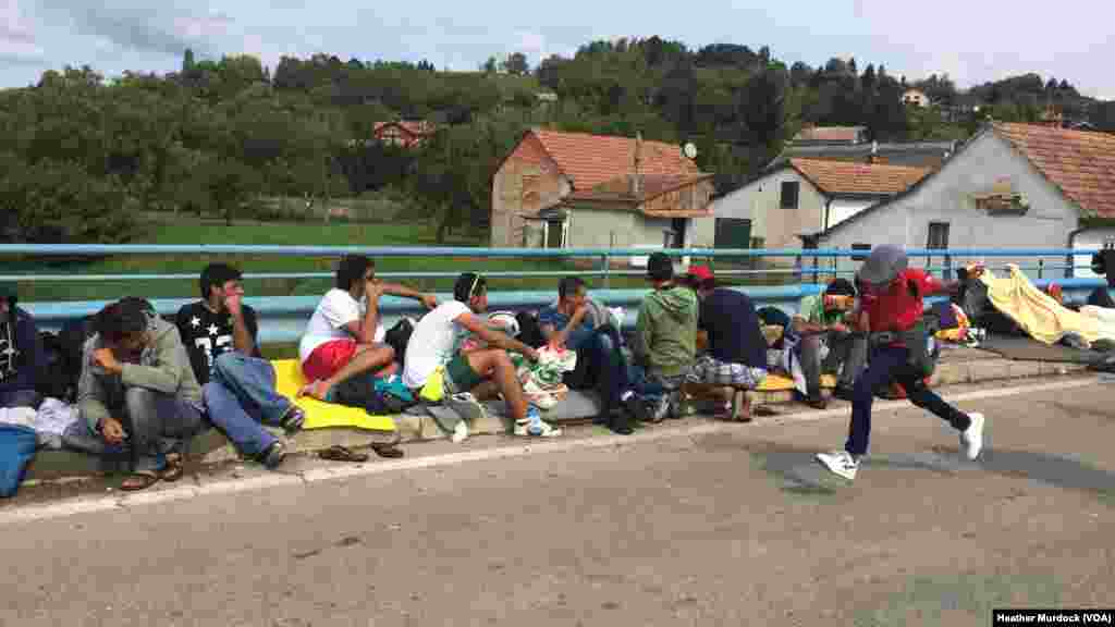 With the European Union only a few feet away, many refugees said they would rather die trying to cross than consider ever returning to the war zones many came from, at Harmica, Croatia, Sept. 20, 2015.