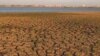 Higher Food Prices Loom in 2011