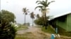 What Do Palm Trees and Wind Turbines Have in Common?