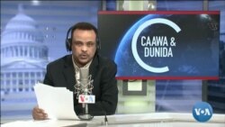 Caawa iyo Dunida