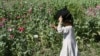 Girls walk through a poppy field