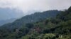 Pemerintah Cadangkan 914 Ribu Hektar Lahan Sebagai Hutan Adat