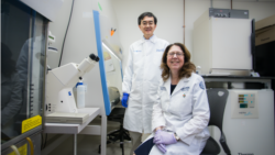Quiz - Experimental Treatment Kept Muscle on ‘Mighty Mice’ in Space