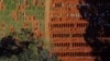 Brazil Passes 50,000 Deaths From Coronavirus