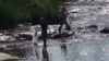 Annual Los Angeles River Cleanup Highlights Scarce Resource