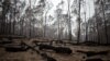 Australians Should Brace for Protracted Summer of Catastrophic Fires