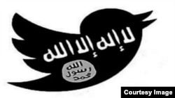 Jihadists have reacted angrily to US-led airstrikes on locations in Syria. (Twitter)