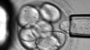16x9 Image