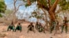 La zone dite des "trois frontières" – entre le Niger, le Mali et le Burkina Faso – est devenue un repaire pour les jihadistes sahéliens affiliés à l'Etat islamique et Al-Qaïda.