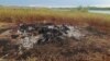 Carcasses of rhinos, zebras and other wildlife were burned in December 2024 at Lake Chivero, about 20 kilometers west of Harare, Zimbabwe, after the animals died from drinking contaminated lake water.