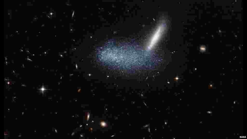 Teleskop Hubble milik NASA menangkap gambar galaksi kerdil yang tidak teratur PGC 16.389 (di latar depan terlihat di sini sebagai awan bintang), sementara galaksi tetangganya APMBGC 252 125-117 tampak seperti kilat (foto: NASA).
