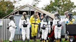 Quiz - Denmark to Destroy Mink Population after Coronavirus Spreads to Humans