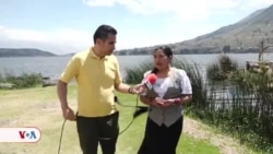 La totora: la planta que intenta rescatar la identidad de los pueblos indígenas ecuatorianos
