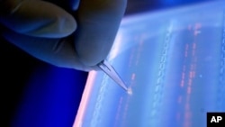 Lab officer cuts DNA fragment under UV light from an agarose gel for DNA sequencing as part of research to determine genetic mutation in a blood cancer patient, Singapore, file photo.