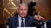Fauci: US Going in 'Wrong Direction'