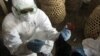 Seorang Anak Meninggal Karena Flu Burung di Jakarta