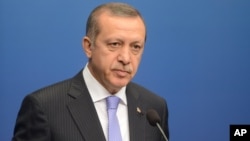 Turkey's Prime Minister Recep Tayyip Erdogan talks to the media during a news conference at the government house Rosenbad in Stockholm, Nov.7, 2013