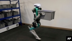 Agility Robotics' robot Digit performs maneuvers at the company's office in Pittsburgh on August 16, 2023. (AP Photo/Matt Freed)